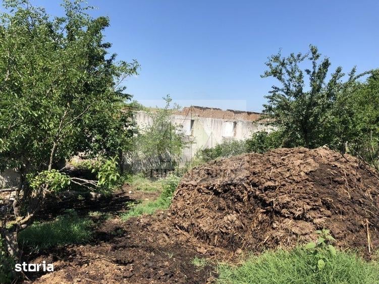 Teren de 9795 mp, în Rădoiești