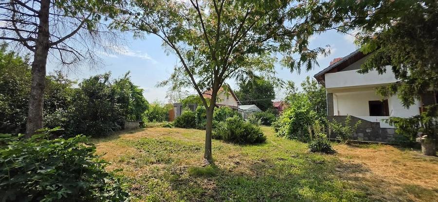 Casă cu Teren 3000 Mp în Dârvari