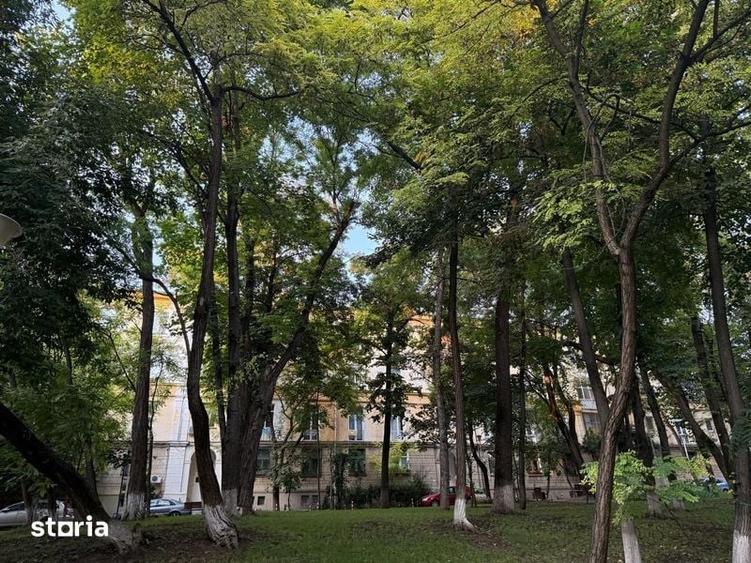 Apartament 2 camere Copou - pentru inchiriat - 4