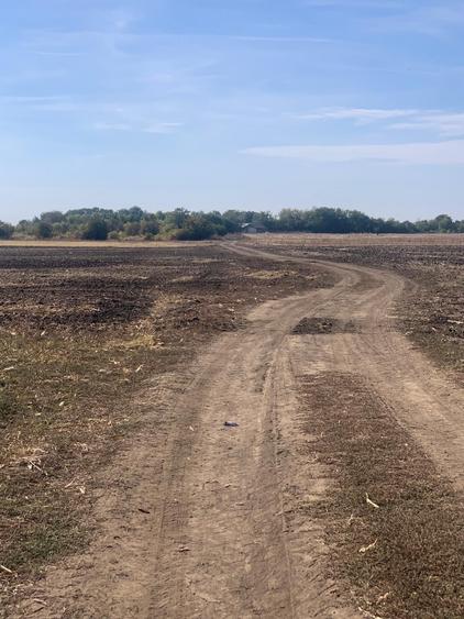 Teren Construcții extravilan de 15000 mp, în Petrăchioaia