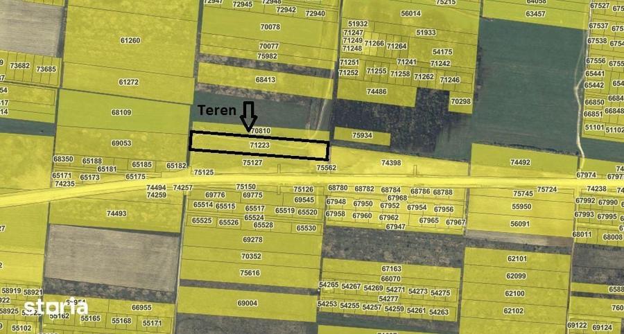 Teren 7481 mp, cu acces facil la Inelul Metropolitan - 7