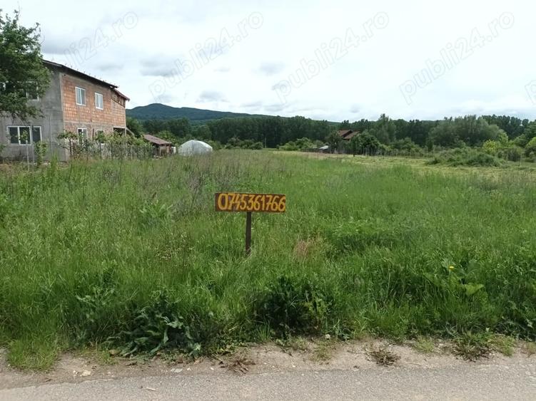 Teren de 3055 mp, în Bujoreni