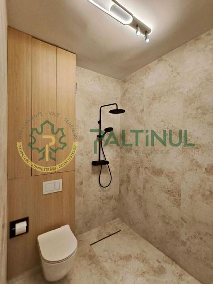 Apartament cu 3 camere decomandat, mobilat în Turnișor