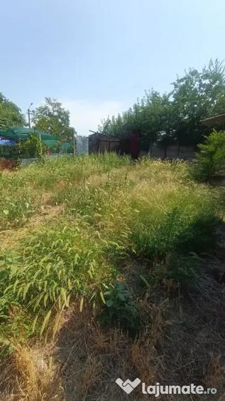 Casa P+1, 186 mp utili, 339 mp teren, zona Brestei - 8