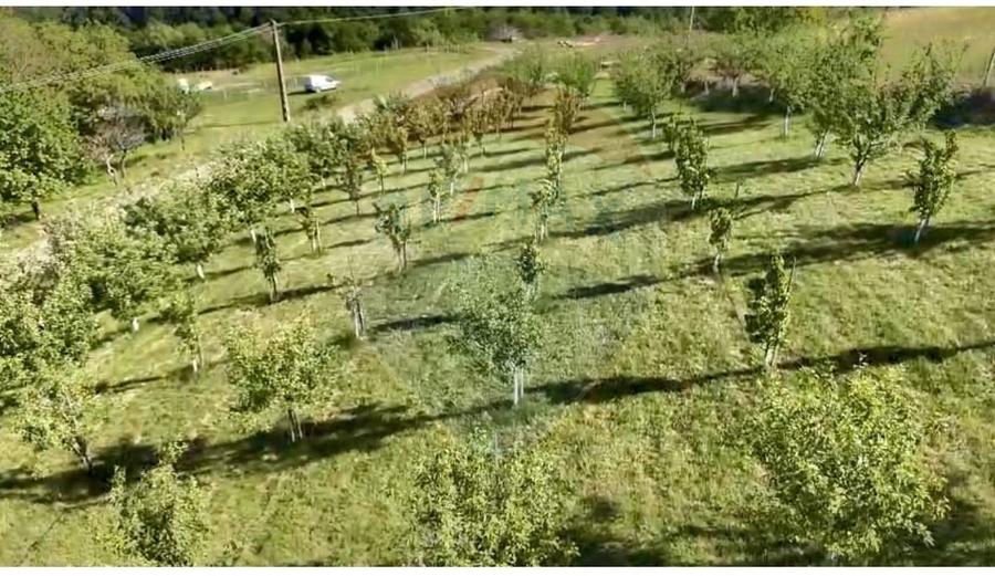 Teren agricol intravilan de 20170 mp, în Șuncuiuș