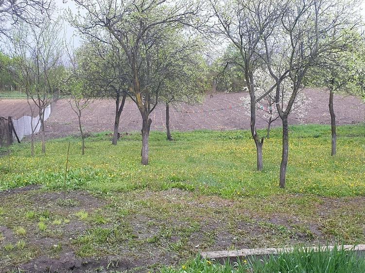 Casă cu Teren 4400 Mp în Sânger