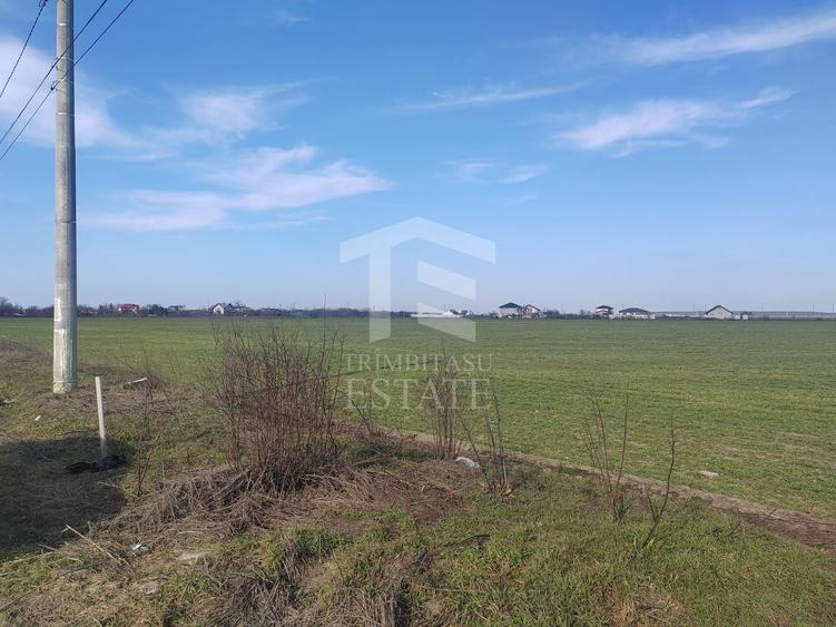 Teren Construcții intravilan de 8650 mp, în Cernica