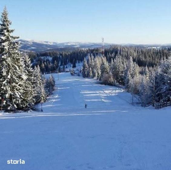 Teren de 280000 mp, în Iacobeni