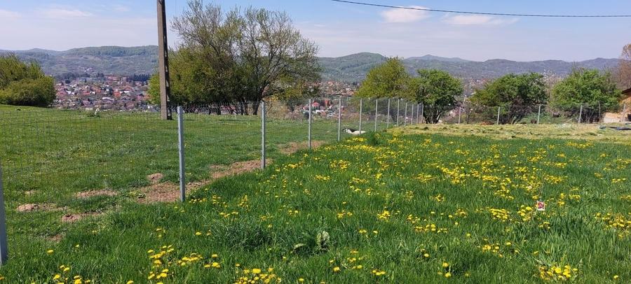 Teren Construcții intravilan de 9900 mp, în Mușcel