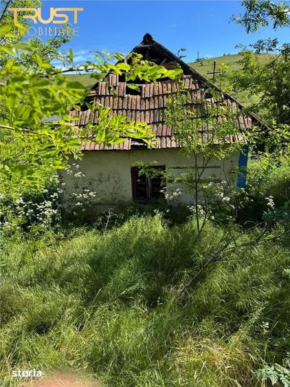 Casă cu 1 camere cu Teren 3600 Mp în Cojocna