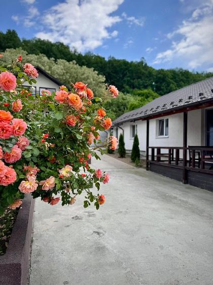 Casă cu Teren 867 Mp în Drăganu