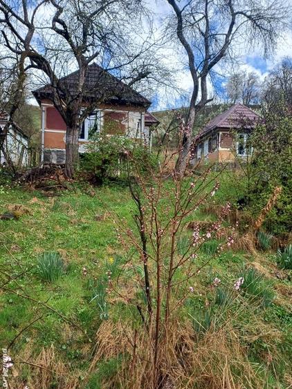 Casă în Fițcău