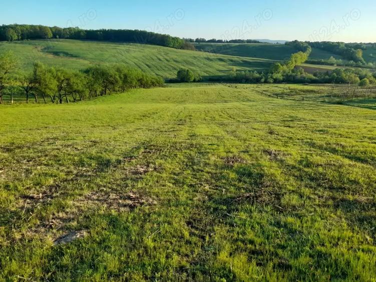 Teren de 9400 mp, în Remetea Chioarului