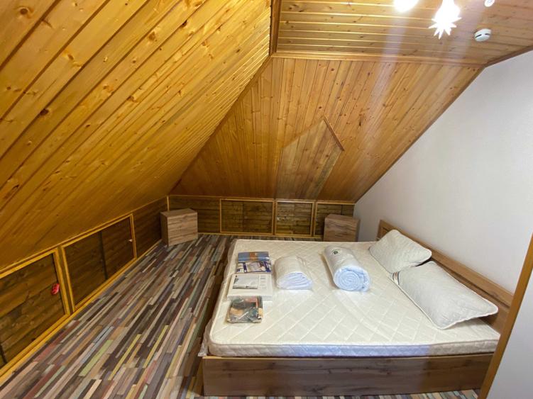 Apartament cu 3 camere nedecomandat în Vișan
