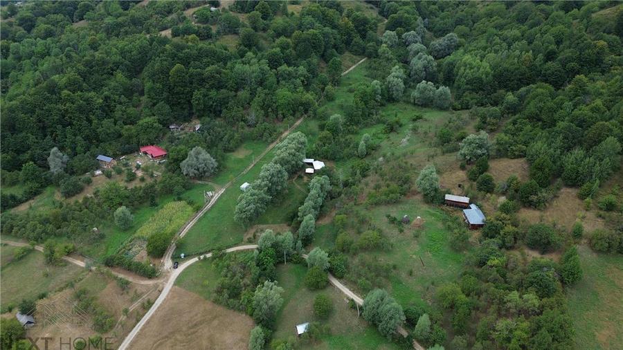 Casă cu 3 camere cu Teren 5913 Mp în Paltin