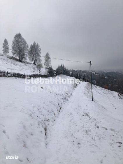 Teren 725 MP | Moieciu de Jos | Piatra Craiului | Oportunitate de inve