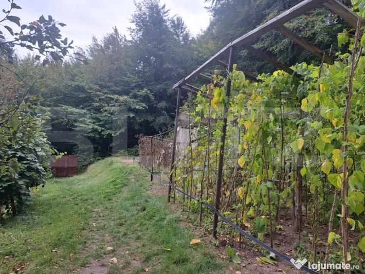 Casă cu 2 camere cu Teren 1000 Mp în Vulcan