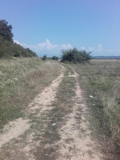 Teren Construcții extravilan de 3500 mp, în Bălești