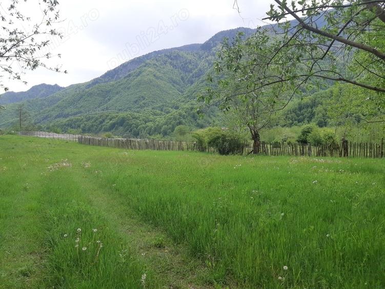 Teren de 1000 mp, în Malaia