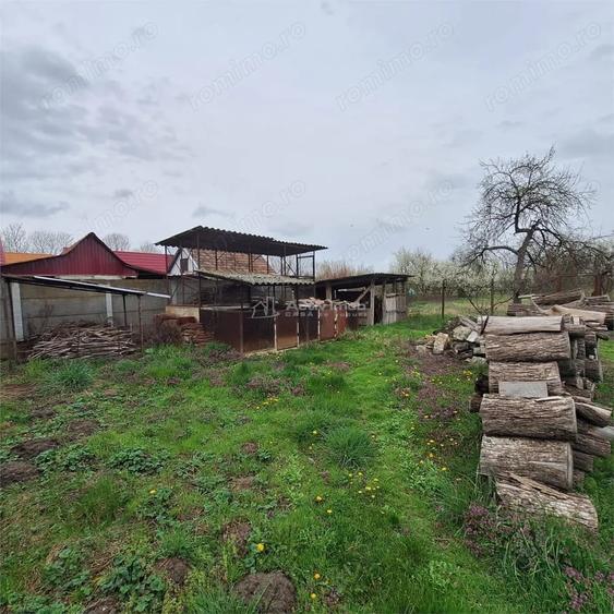 Casă cu Teren 4636 Mp în Central