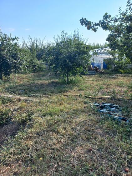 Casă individuală cu 3 camere cu Teren 2894 Mp în Segarcea-Vale