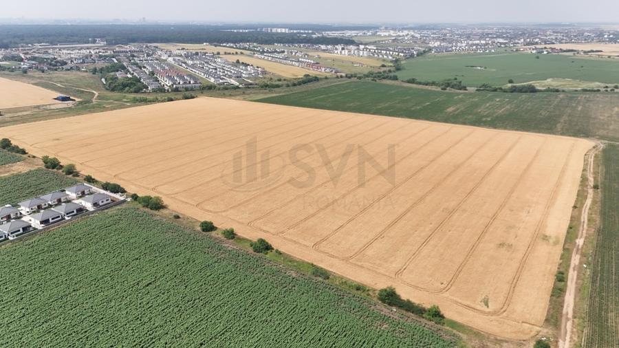 Teren agricol intravilan de 13629 mp, în Tunari