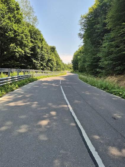 Teren de 3700 mp, în Viștișoara