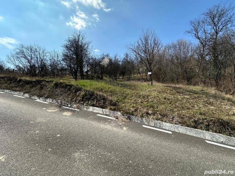 Teren de 828 mp, în Curăturile