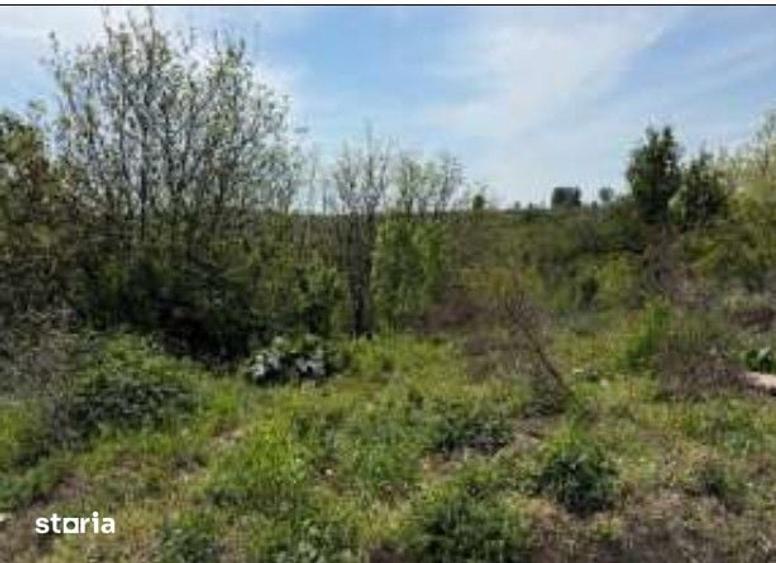 Teren de 2261 mp, în Văculești