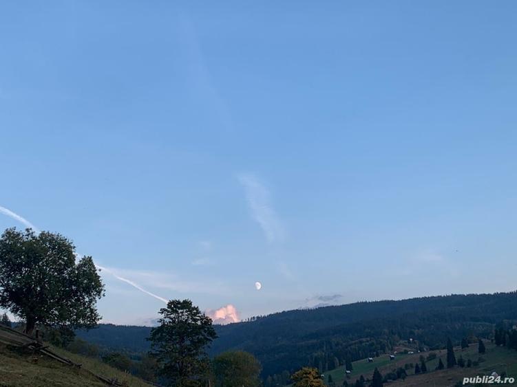 Teren de 7837 mp, în Dorna-Arini