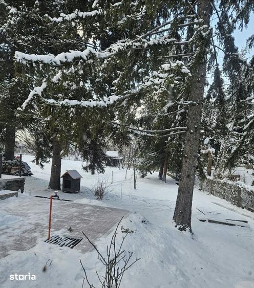Teren de 2400 mp, în Central