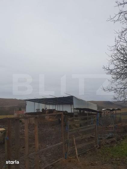 Casă cu 3 camere cu Teren 9600 Mp în Sânmihaiu de Câmpie