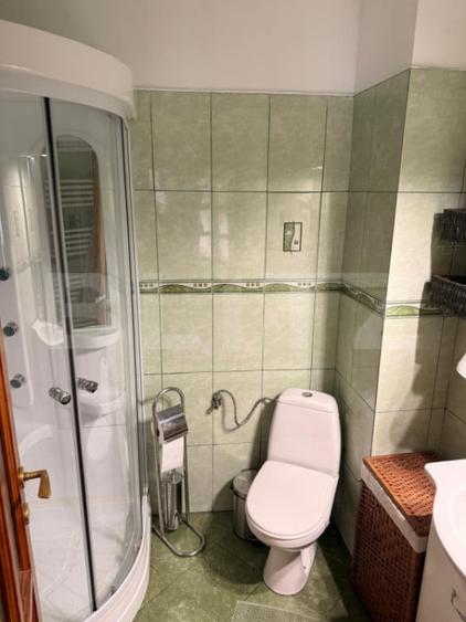 Proprietate cu doua case renovate, in inima comunei Vulcan - 15