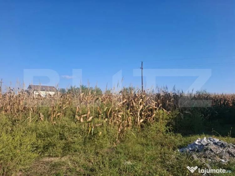 Teren în Bungetu