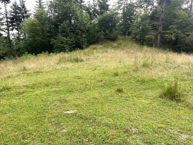 Teren Construcții intravilan de 12750 mp, în Pârâul Rece