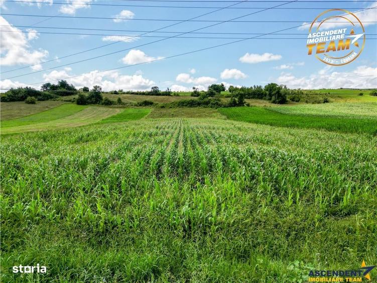 Spațiu comercial, în Sâncraiu