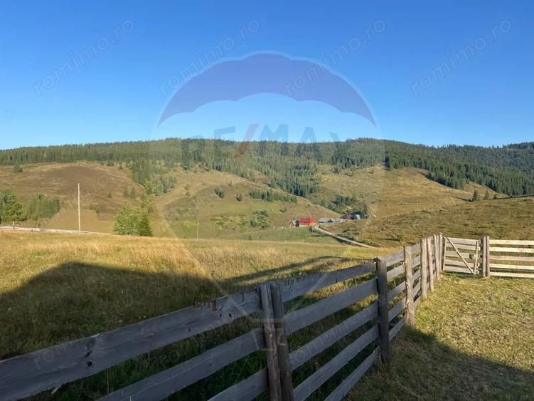 Teren de 4914 mp, în Giurcuța de Sus