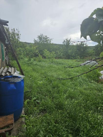Casă cu 2 camere în Covasna