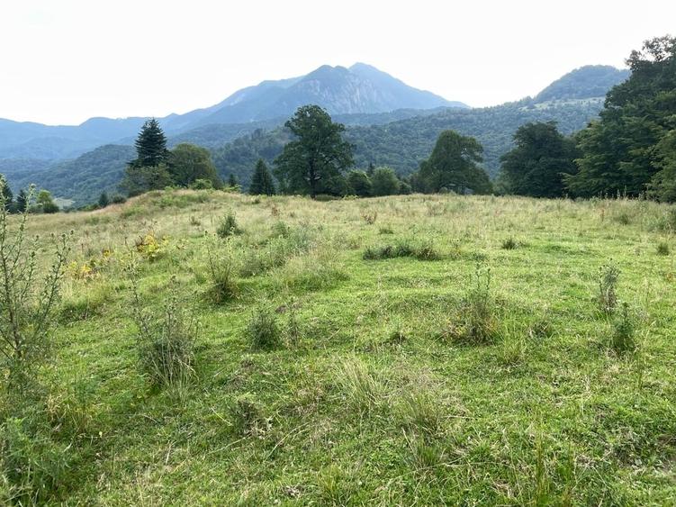 Teren Construcții intravilan de 12750 mp, în Pârâul Rece