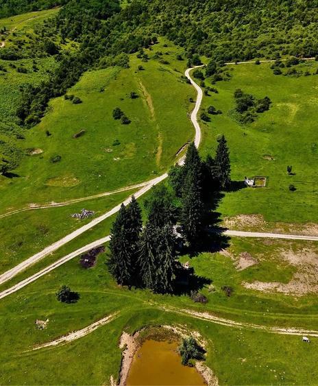 Teren de 6000 mp, în Câmp
