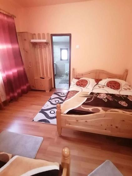 Casă cu 4 camere în Albac