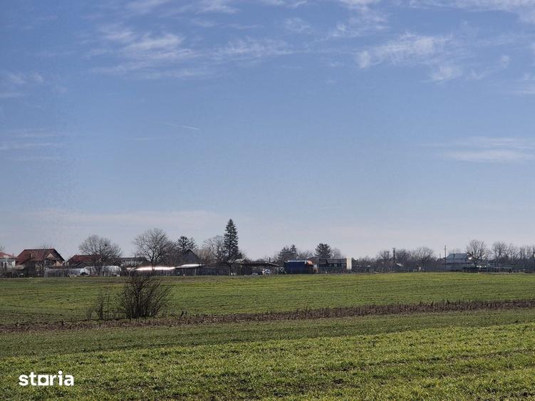 Trestieni - Ulmi, vanzare teren 1.663mp, intravilan - 16