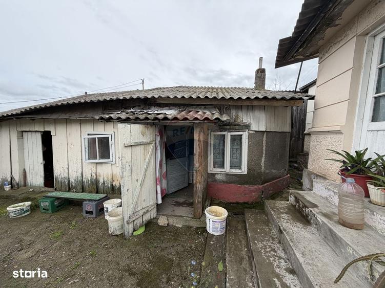 Casă cu 3 camere în Nord