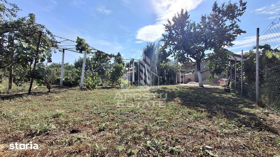 Casa 4 camere,Teren 360 mp Micalaca Garaj, Gradin - 17