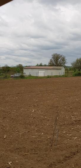 Teren de 20000 mp, în Almăj