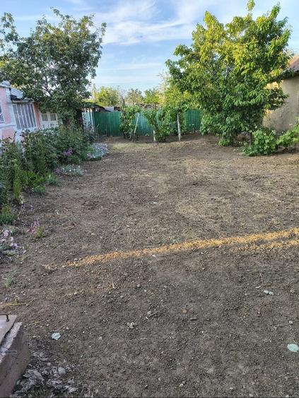 Casă cu 1 camere în Exterior Vest