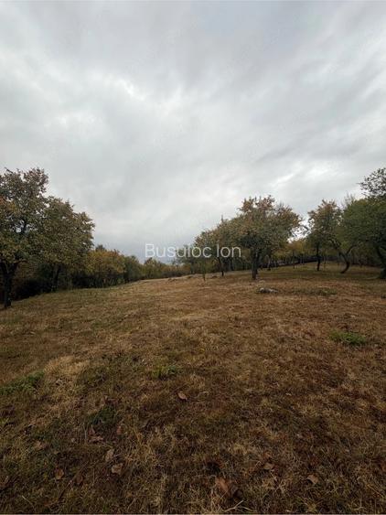 Teren de vanzare 2.614 mp in Sohodol, Tismana livada, acces asfaltat, deschidere 27,84 m