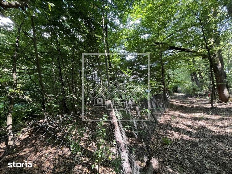 Teren in Cisnadie - 1.500 mp, inainte de Tocile, acces la drum, invest - 5