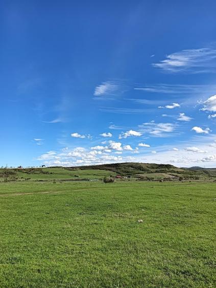 Vand teren intravilan 3000 mp in Sebes, jud Alba - 4
