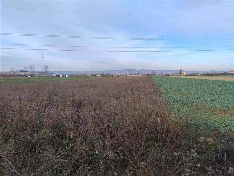 Teren Construcții intravilan de 5500 mp, în Oșorhei